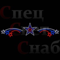 Перетяжка светодиодная уличная "Звезда России" триумф триколор